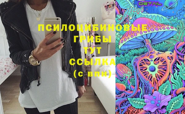 индика Нязепетровск
