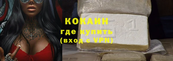 индика Нязепетровск