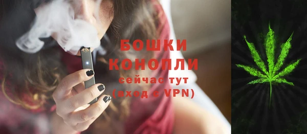 сатива Нягань
