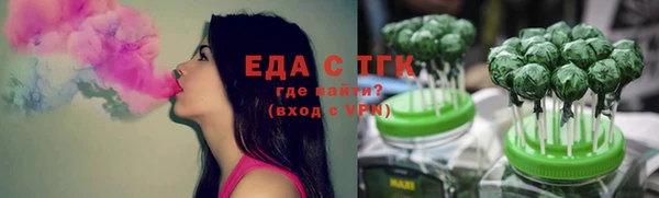 индика Нязепетровск