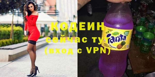 индика Нязепетровск