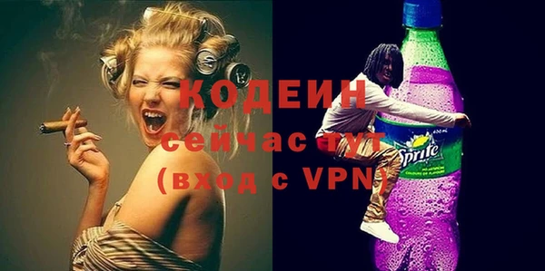 индика Нязепетровск
